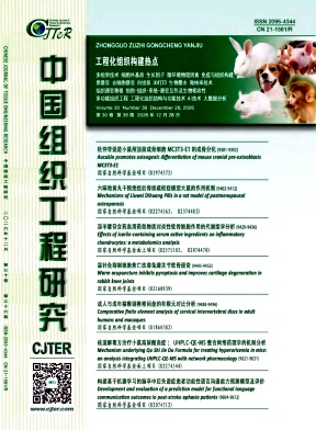 中国组织工程研究封面